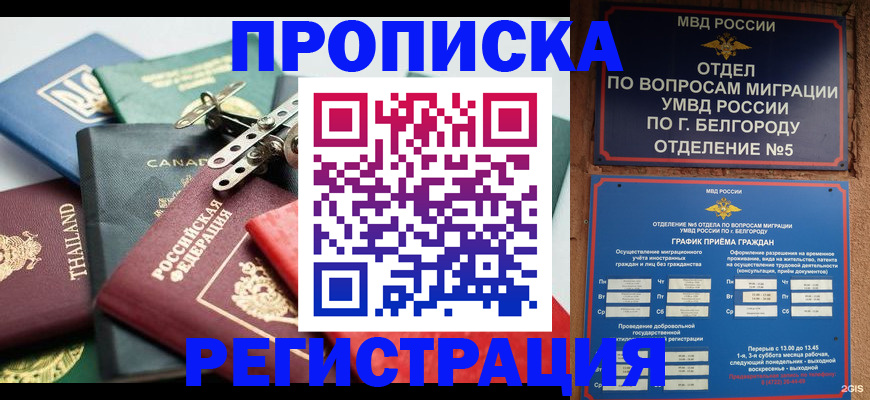 временная регистрация недорого в Яхроме